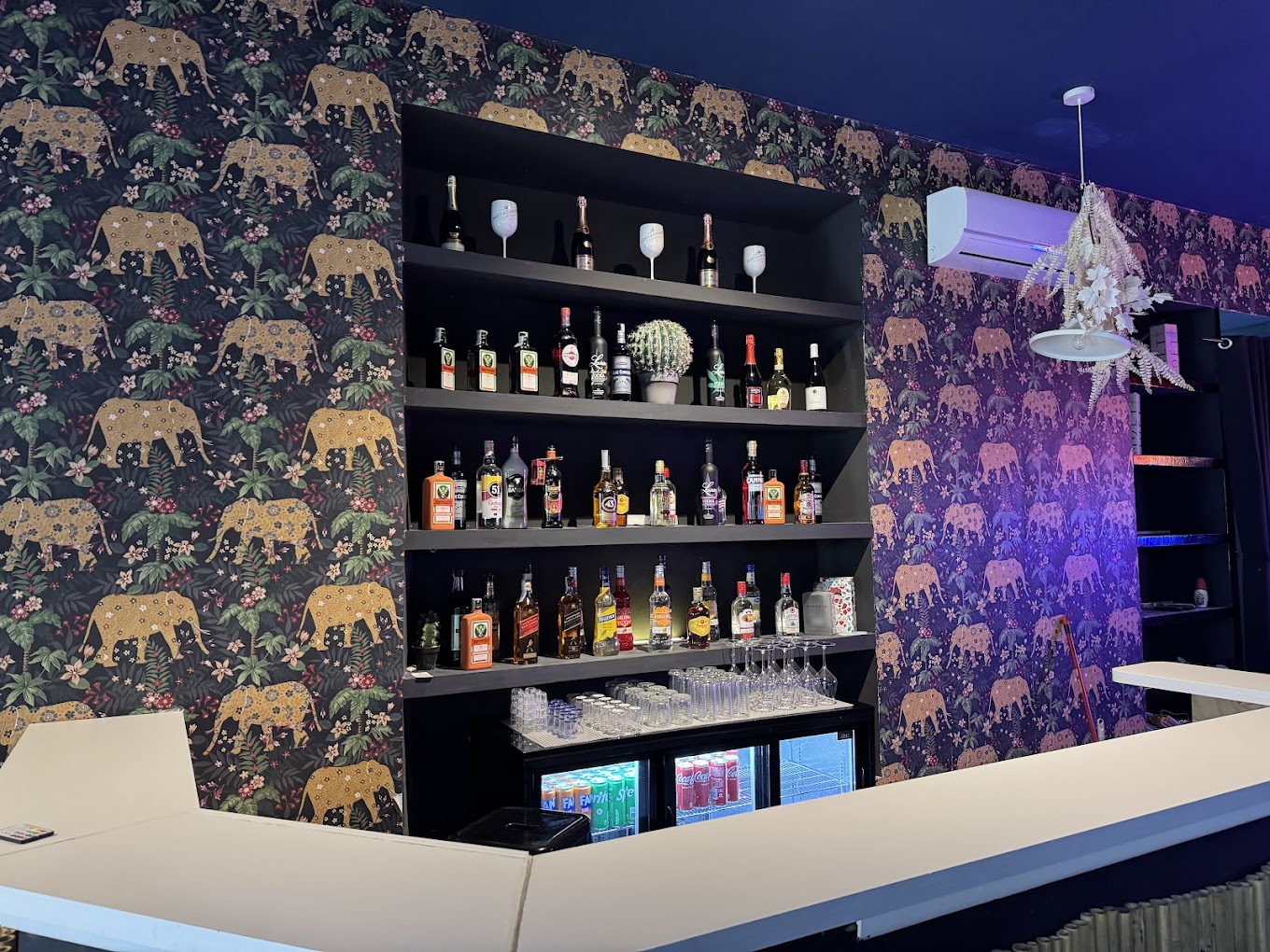 Mamy Lounge Bar: energia e creatività sul mare di Anzio