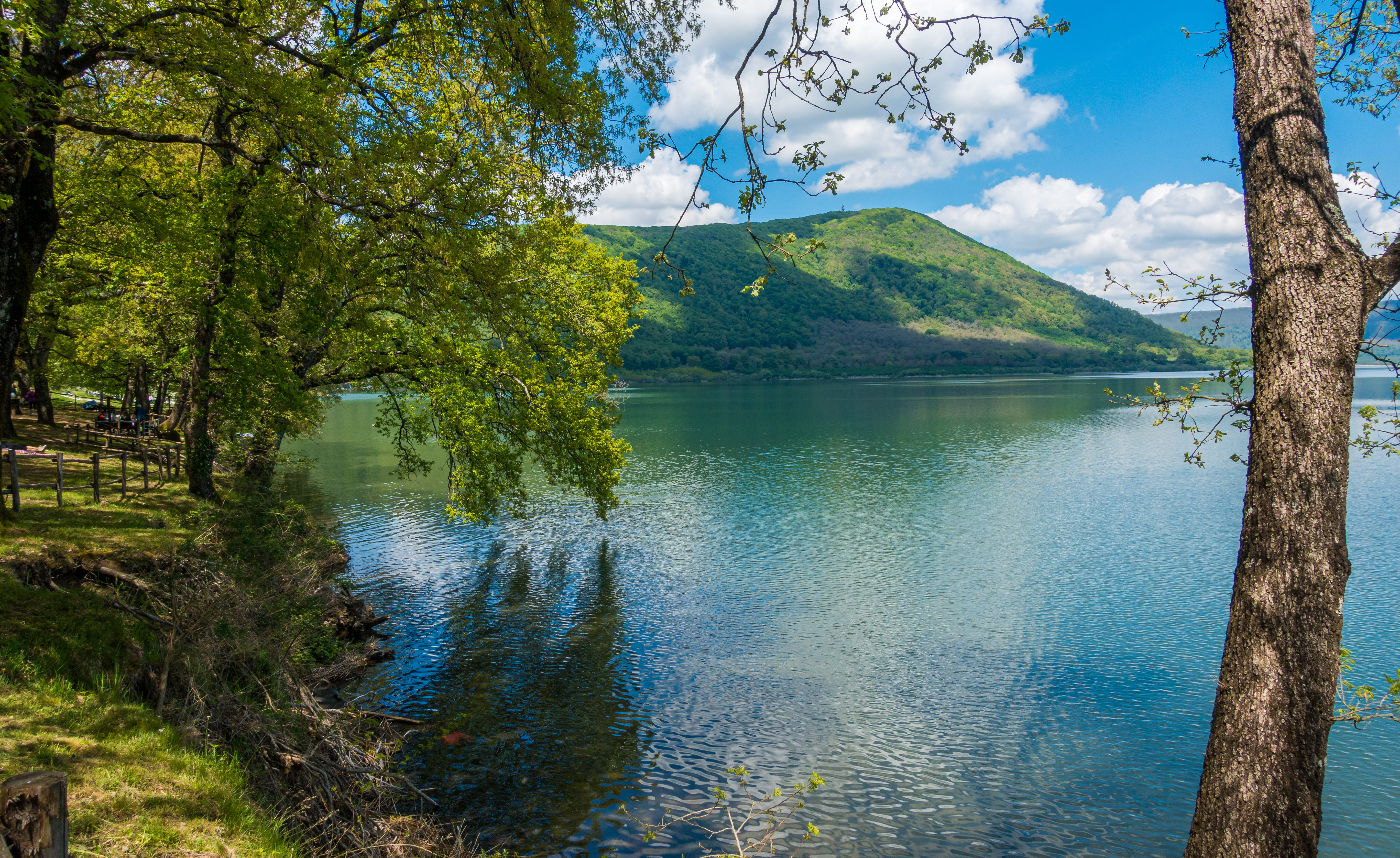 Un gioiello nascosto tra i monti Cimini: la Riserva Naturale Lago di Vico