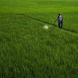 1° giugno a Bitonto: cena Euro-Toques per l'olio extravergine e la