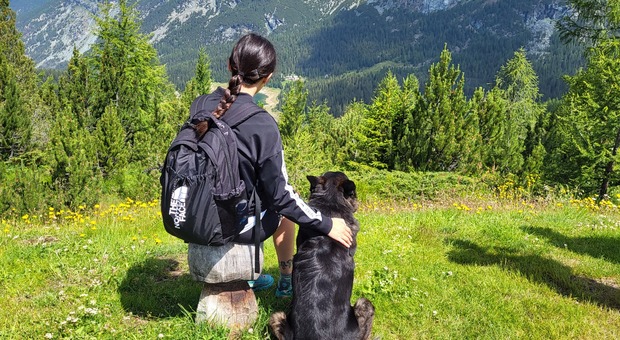 6 sentieri pet‑friendly in Italia: passeggiate nella natura da fare con