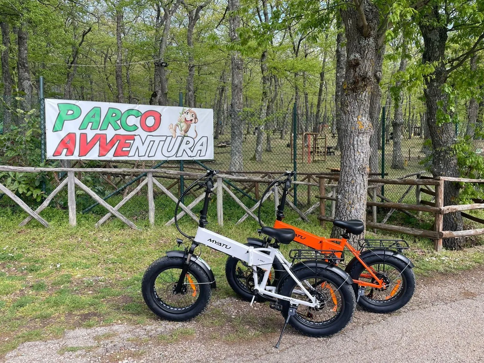 Alla scoperta del Parco Avventura di Albano di Lucania