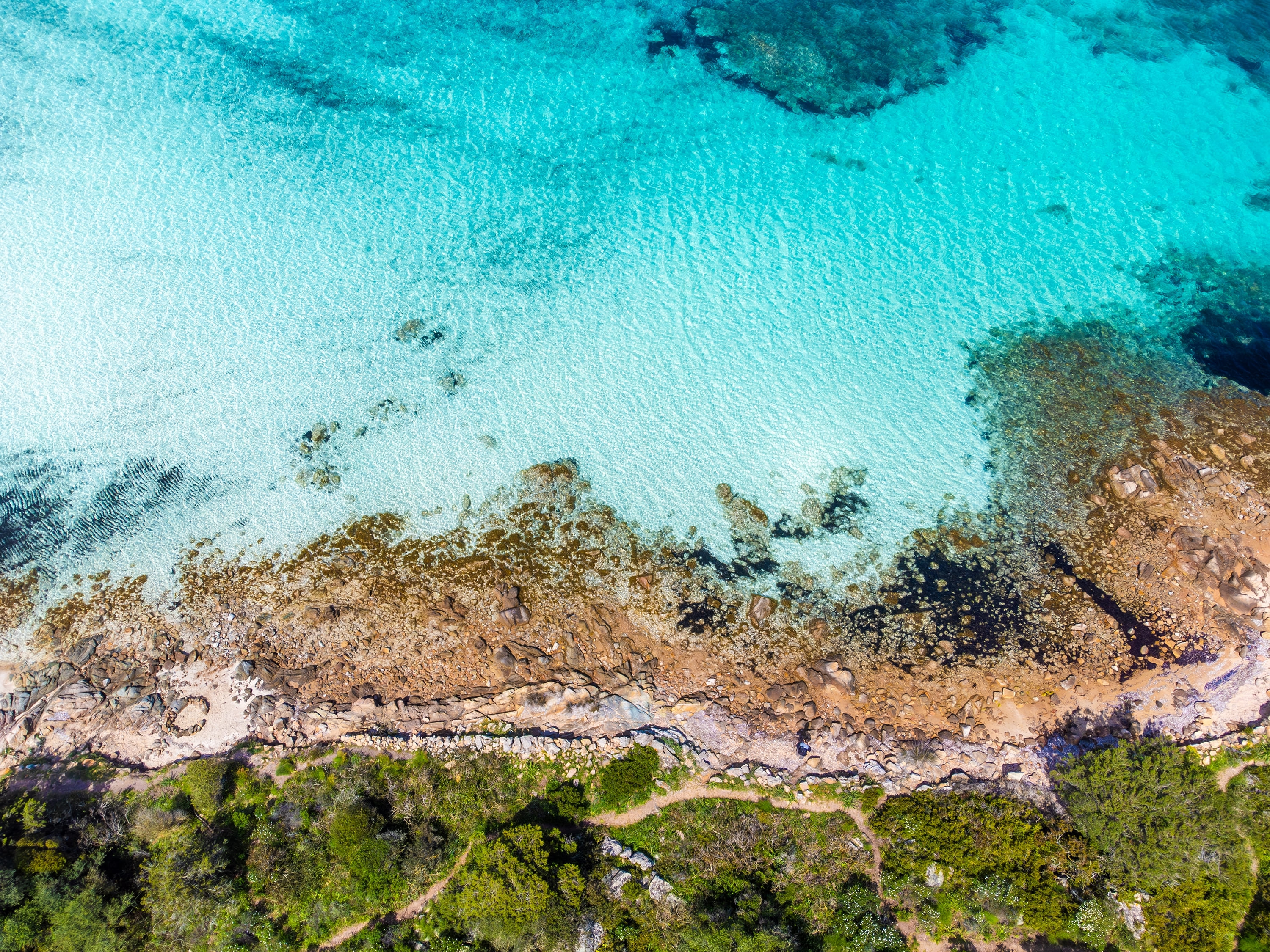 Cala Brandinchi: il paradiso caraibico della Sardegna