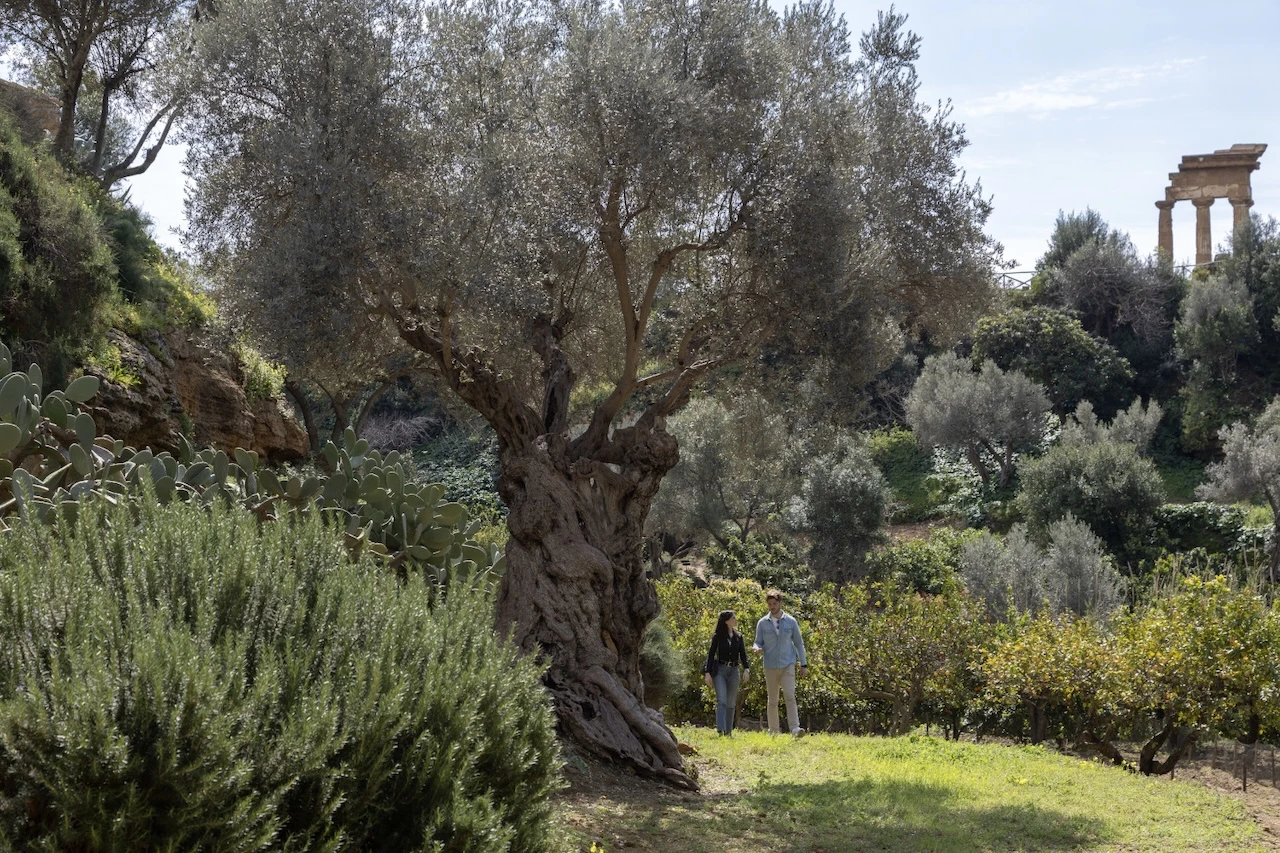 Camminate nella biodiversità: il FAI guida alla scoperta della natura