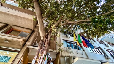 Capaci remembrance: Palermo events to honor Judge Falcone and the