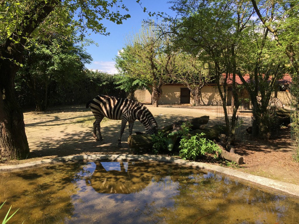 Cappeller Fauna Park a Cartigliano
