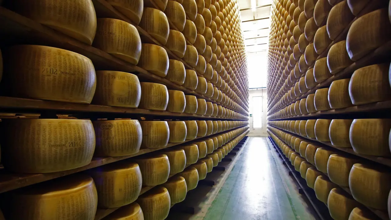 Caseifici Aperti 2026 in Emilia-Romagna: visite, laboratori per bambini