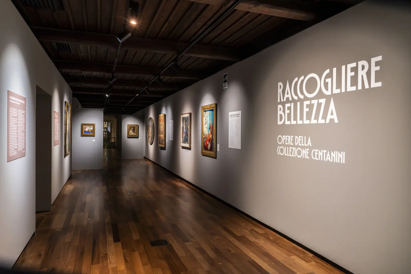 Collezione Centanini: la mostra "Raccogliere Bellezza" prorogata fino al 6 aprile
