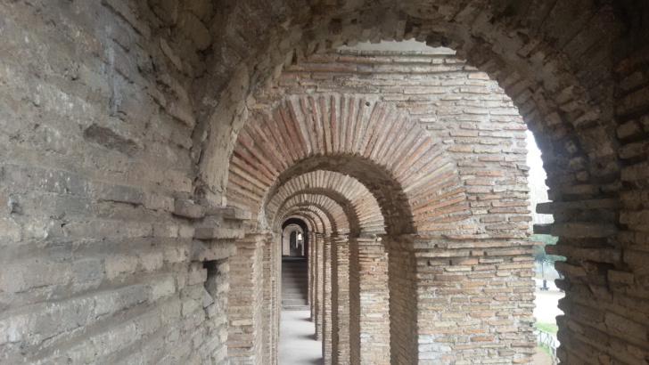 Cosa fare gratis a Roma oggi, 19 maggio 2026: musei, roseto e mostre da