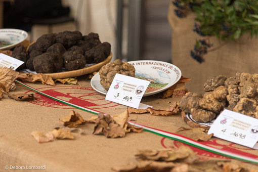 From Black Truffle to UNESCO Safeguarding: National Truffle Study