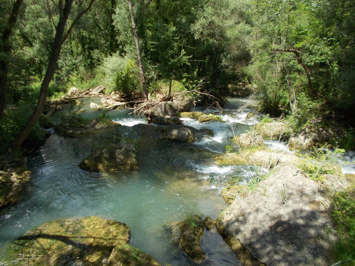 Dove l'acqua scolpisce l'avventura: le Gole del Farfa