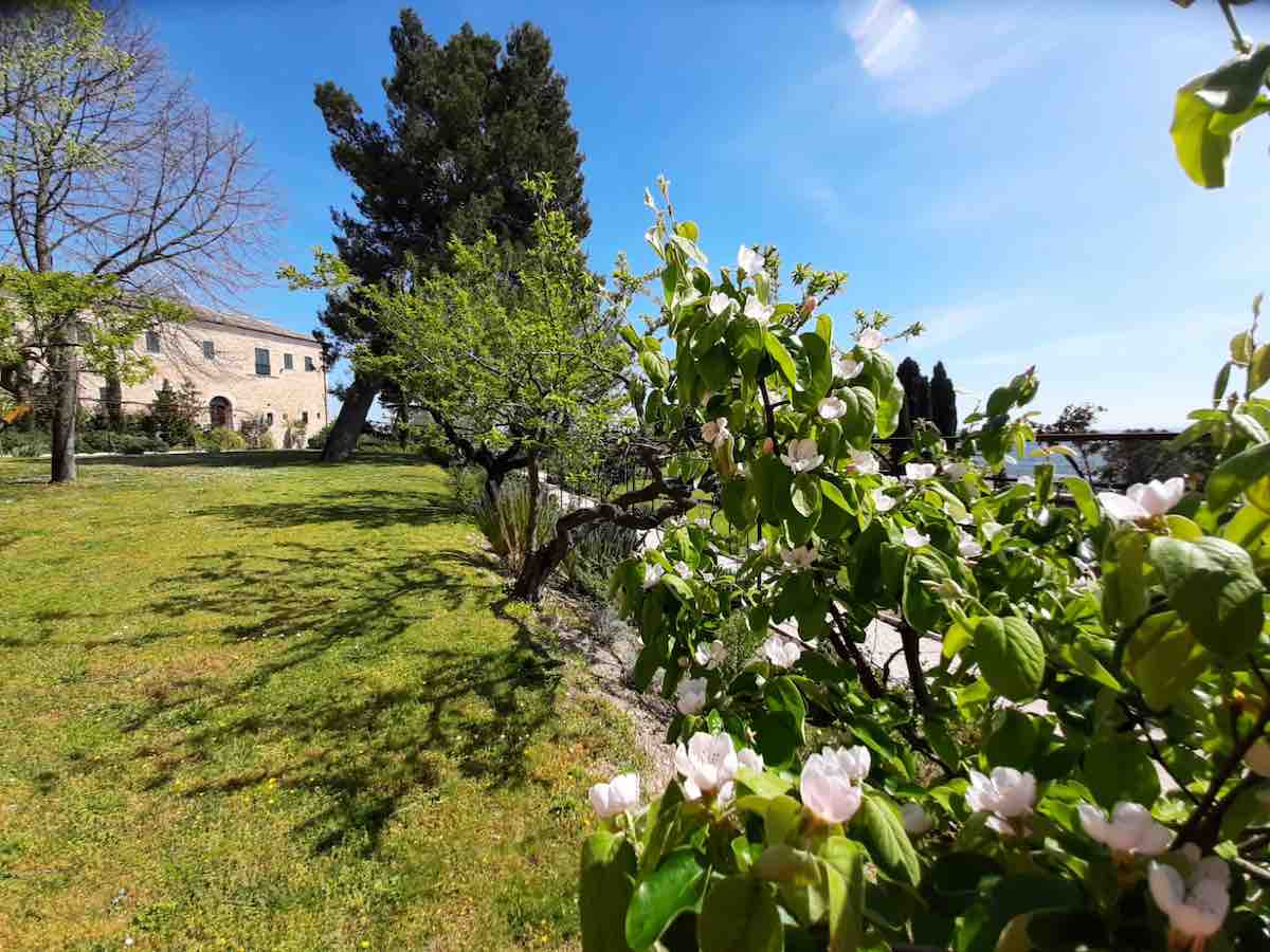 FAI e biodiversità nelle Marche: 10 appuntamenti all'aperto dal 22 al