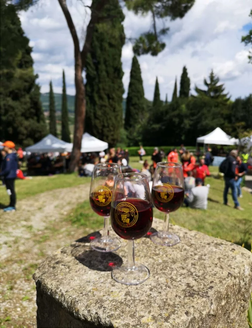 Festa dei Vini Classici della Valpolicella e Recioto 2026 —