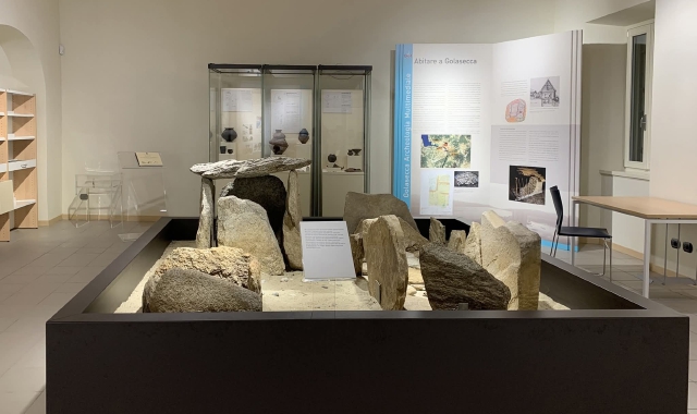 GAM of Golasecca turns 40 and joins the Italian Museum System