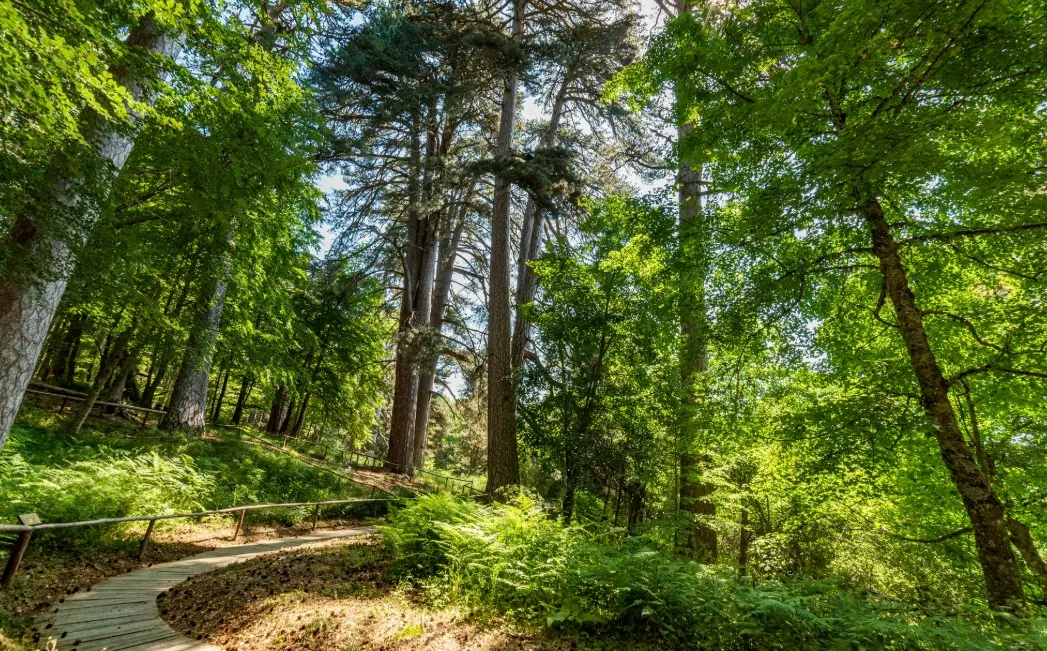 Giornate FAI di Primavera: i monumenti da scoprire in Calabria