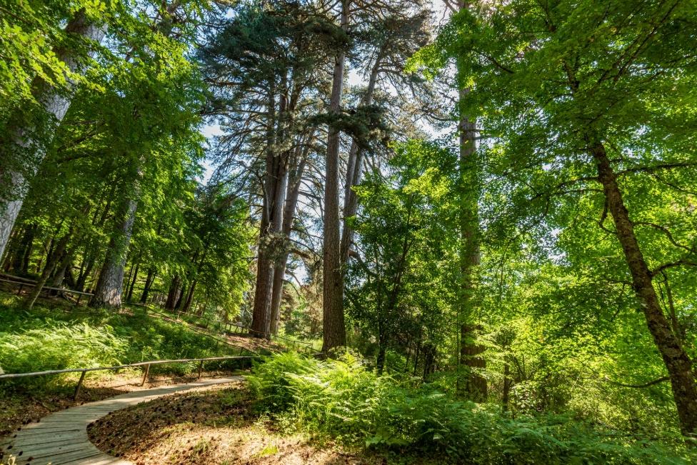 Giornate FAI di Primavera in Calabria: itinerari e monumenti aperti