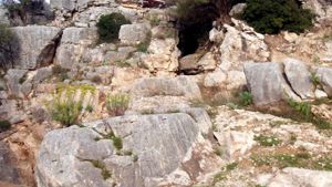 Grotta Paglicci verso l'UNESCO: convegno e iniziative a Rignano
