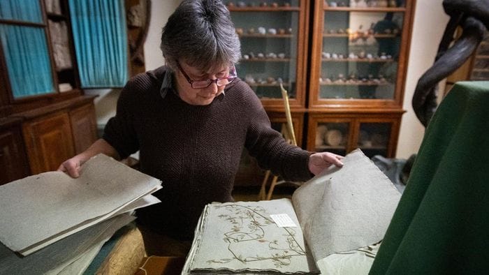 Herbaria al Collegio San Francesco di Lodi: gli antichi erbari in mostra
