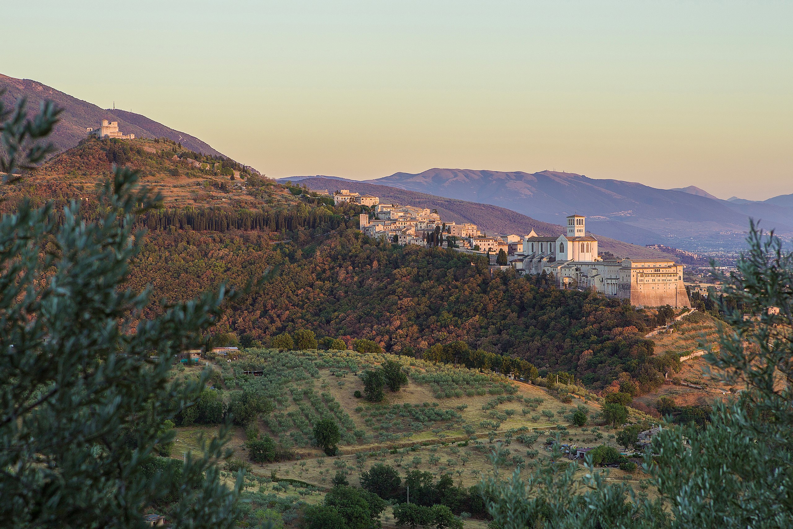 Il Bosco di San Francesco: un’oasi di pace ai piedi di Assisi