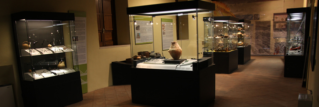 Il Museo dei Brettii e degli Enotri: un viaggio nell'antica Cosenza