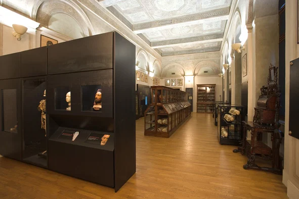 Il Museo di Antropologia Criminale "Cesare Lombroso" a Torino