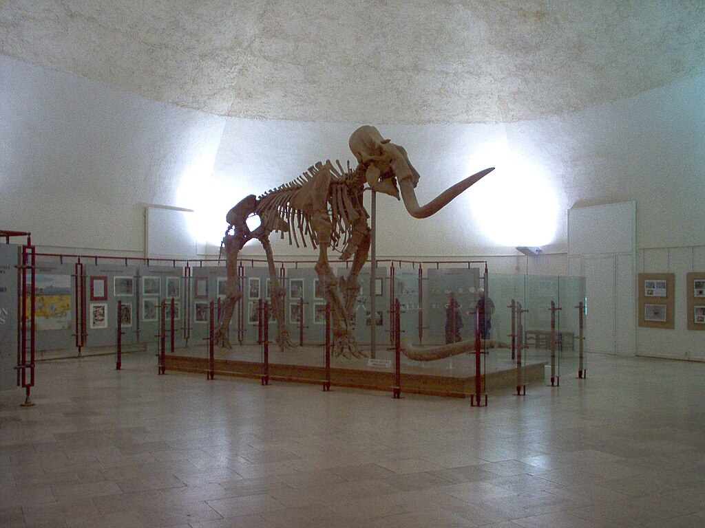 Il Museo Nazionale d'Abruzzo dell'Aquila: un faro di storia e resilienza