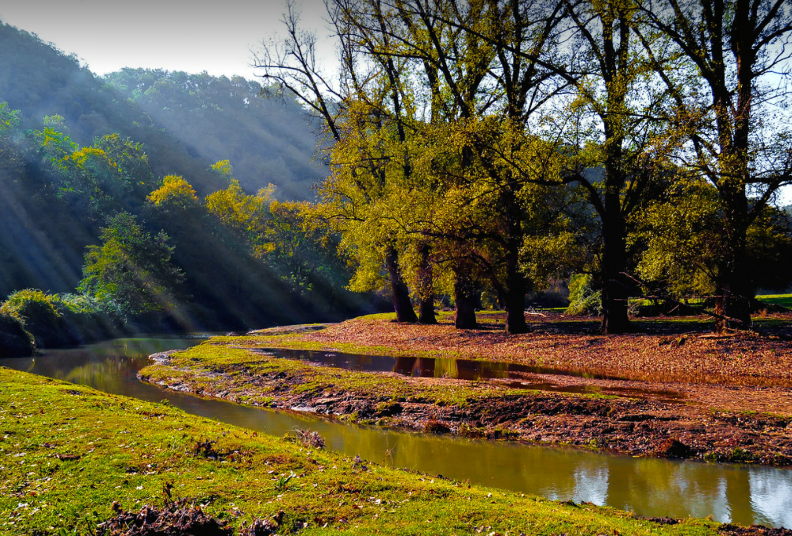 Il Parco Naturale Regionale di Veio: tra boschi etruschi e natura selvaggia