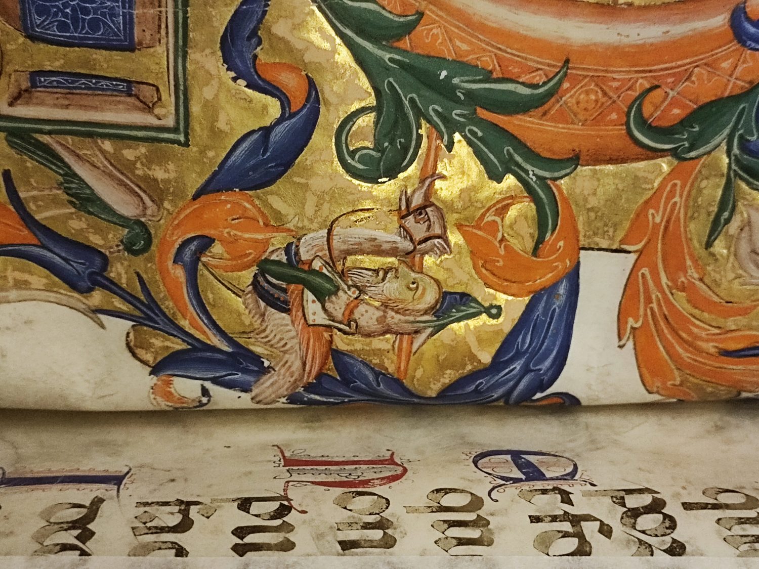 La Biblioteca svelata: il bestiario fantastico al Museo di San Marco