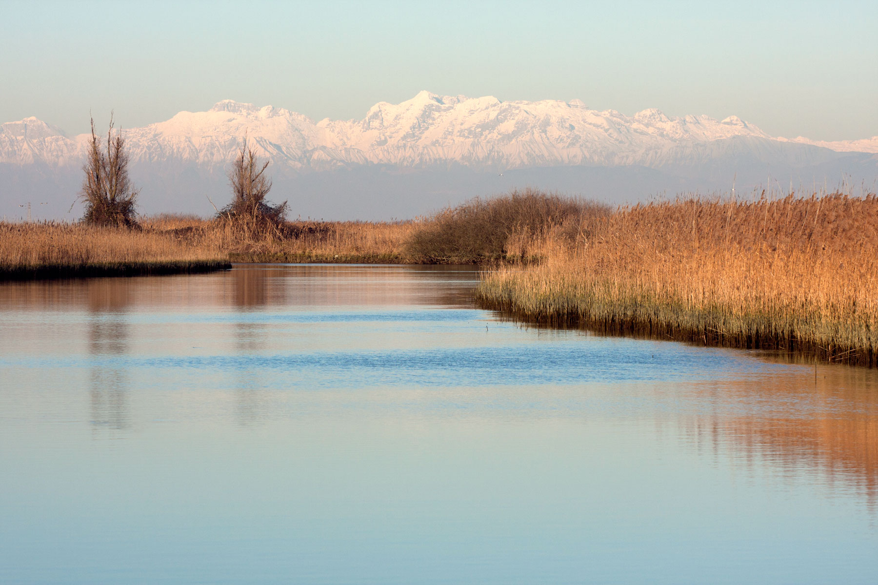 La Riserva Naturale Foci dello Stella: dove l'acqua dolce abbraccia il mare Adriatico