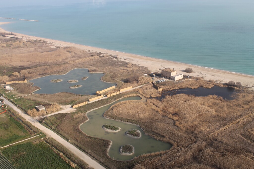 La Riserva Naturale Sentina: l’ultimo angolo selvaggio dell’Adriatico