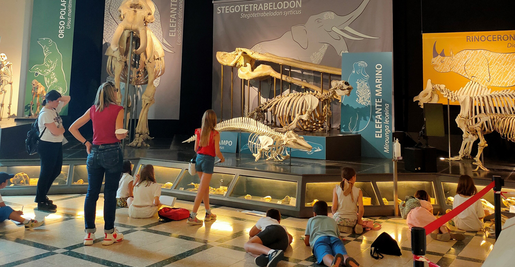 La storia dietro: Naturalisti e collezioni al Museo Civico di Zoologia