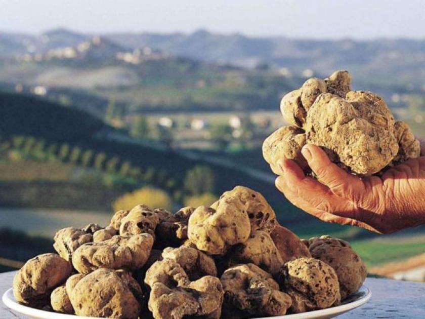 La Terrazza del Tartufo Nero: il 13 giugno a Citerna una giornata