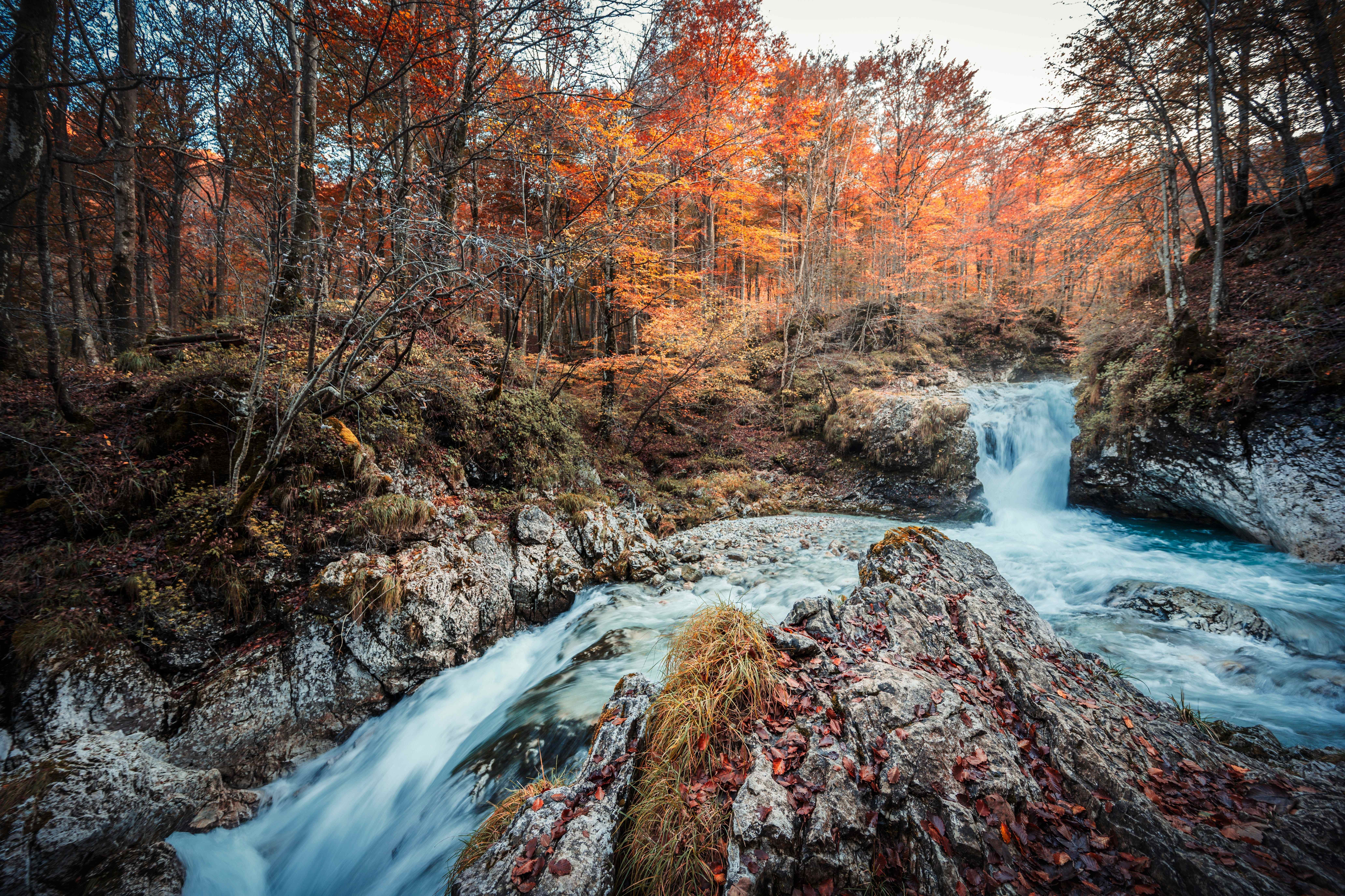 Le Cascate dell'Arzino: piscine di smeraldo nel cuore del Friuli