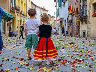 Lucignano si prepara all'87ª Maggiolata: carri fioriti, musica e