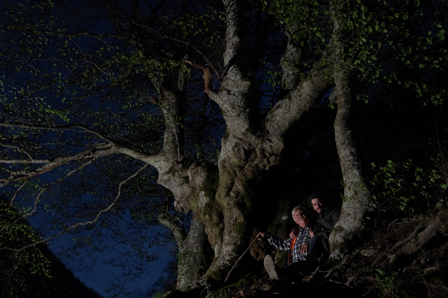 Lugo: “Trees” di Isacco Emiliani — mostra fotografica alle Pescherie
