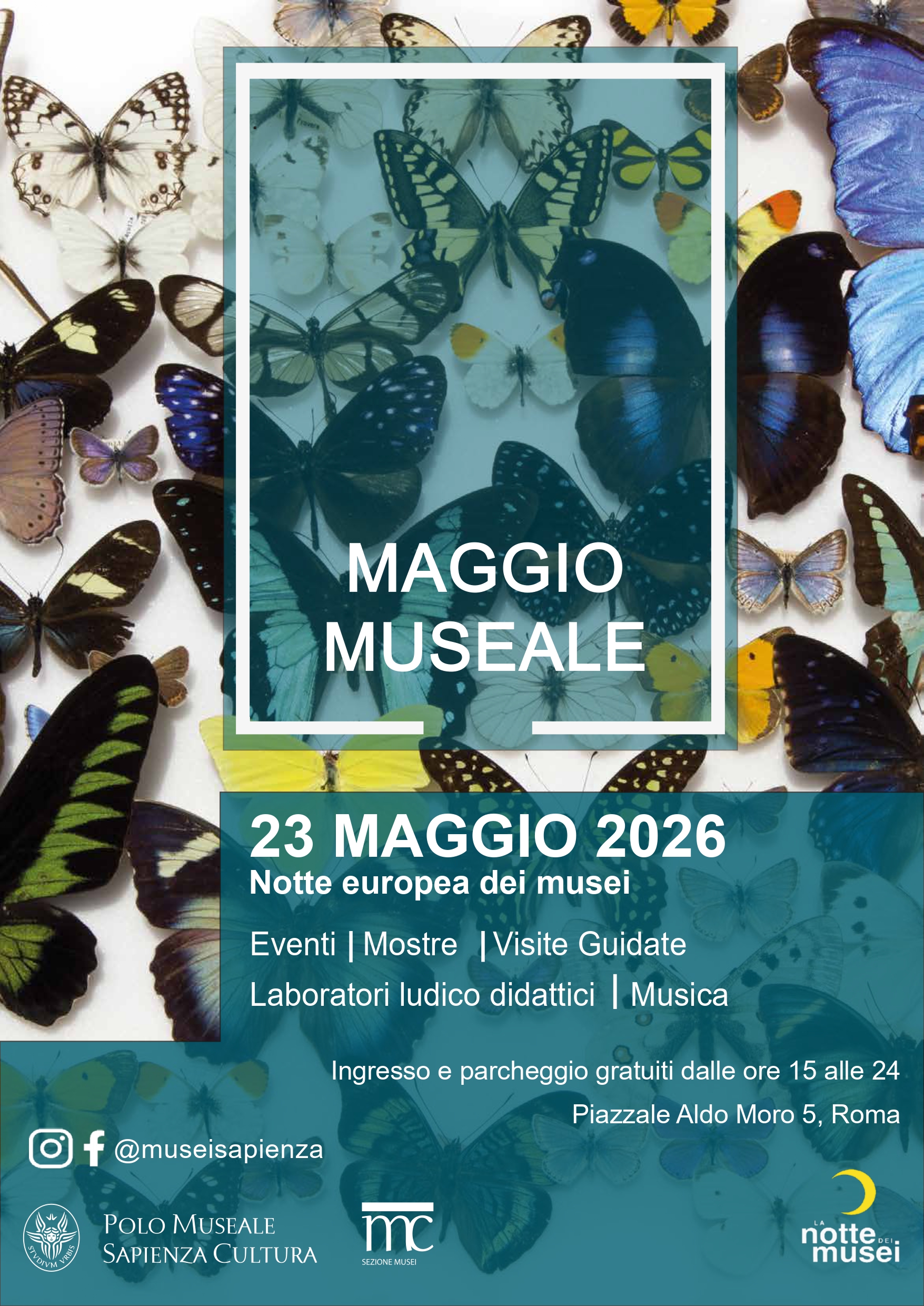 Maggio Museale 2026 al Polo Museale – Sapienza Cultura: programma e