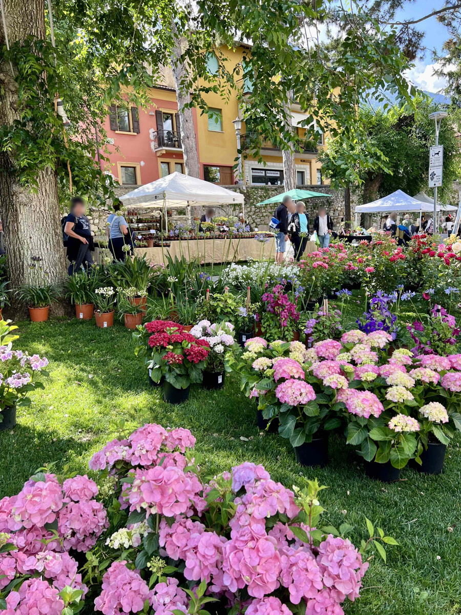 Malcesine in Fiore 2026: il borgo sul Garda si trasforma in un grande