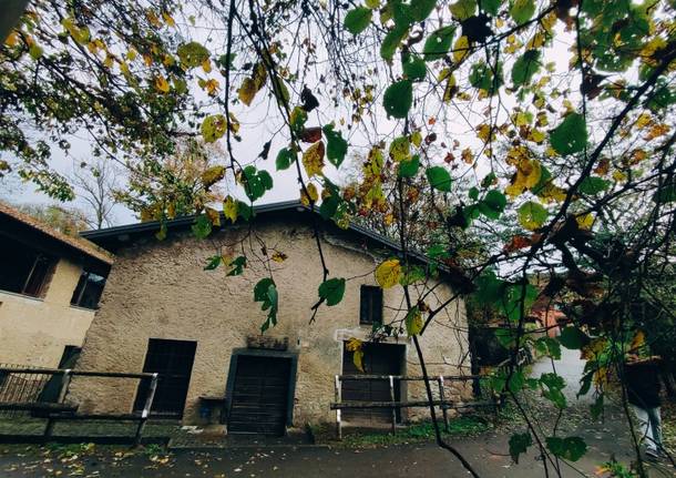Historic mills open in Cunardo and Ghirla: visits and workshops for the
