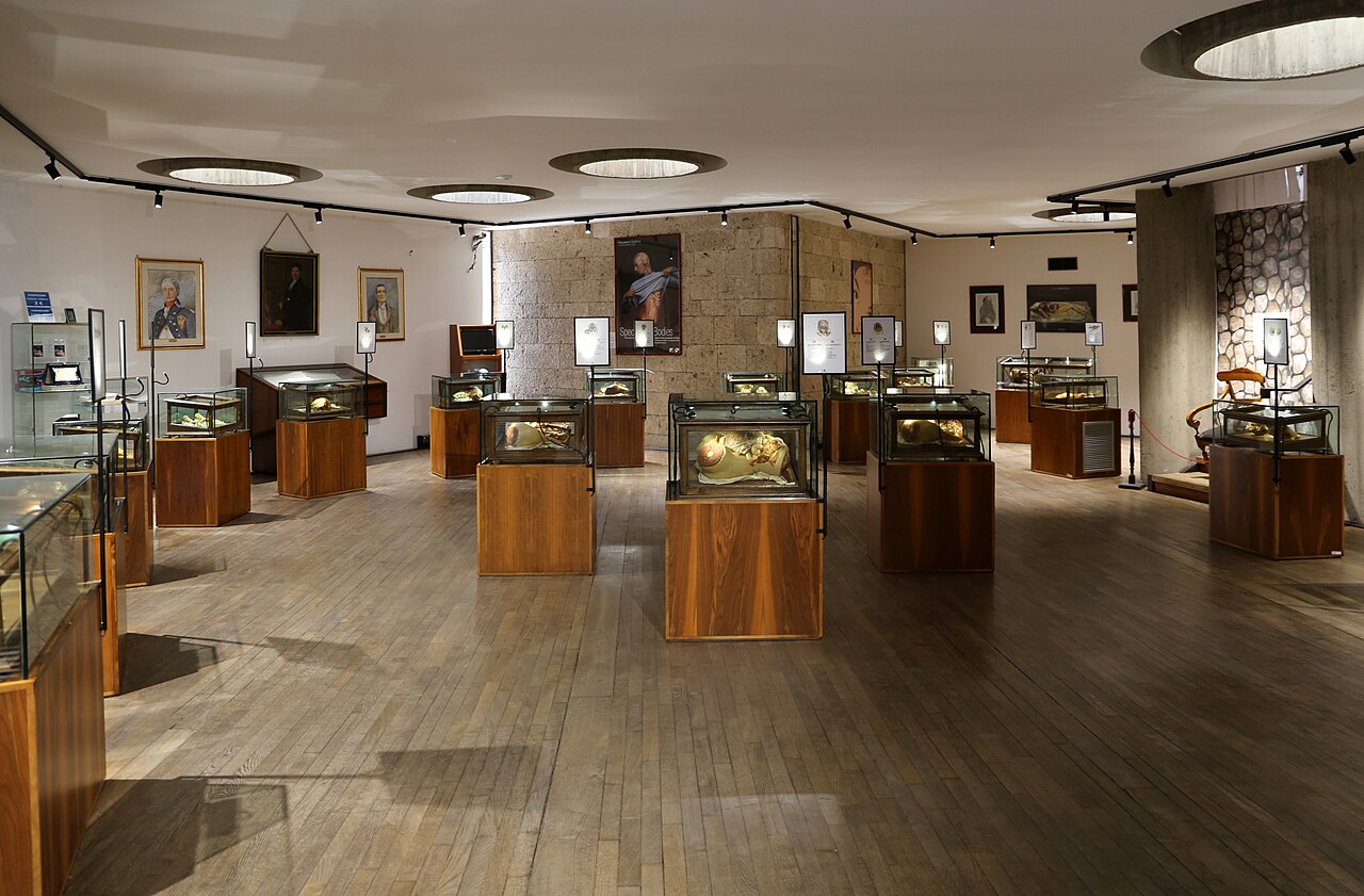 Museo delle Cere Anatomiche "Clemente Susini": un affascinante viaggio tra scienza, arte e storia
