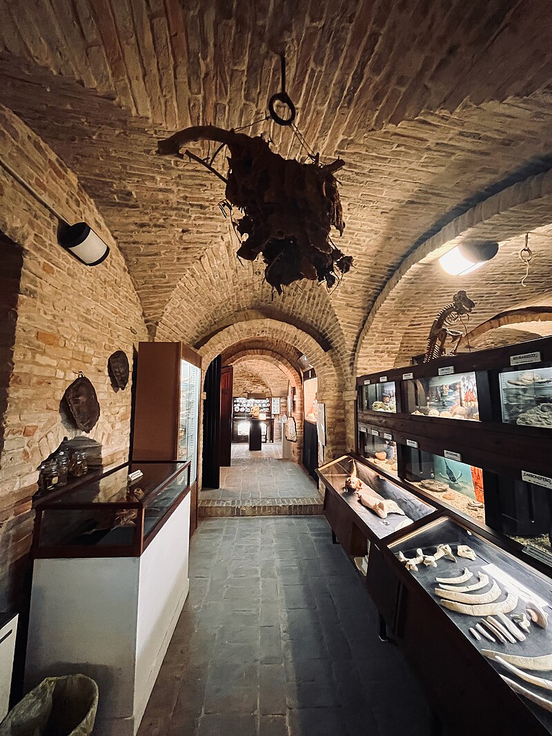 Museo di Storia Naturale di Macerata: un'immersione profonda nella natura