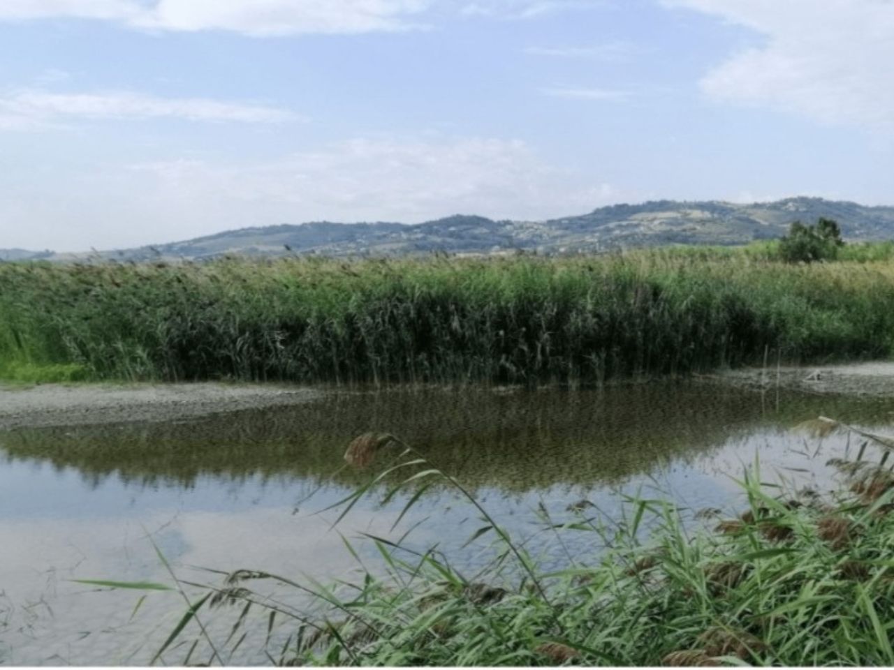 Natura, storia e musica all’alba: la Riserva della Sentina presenta il