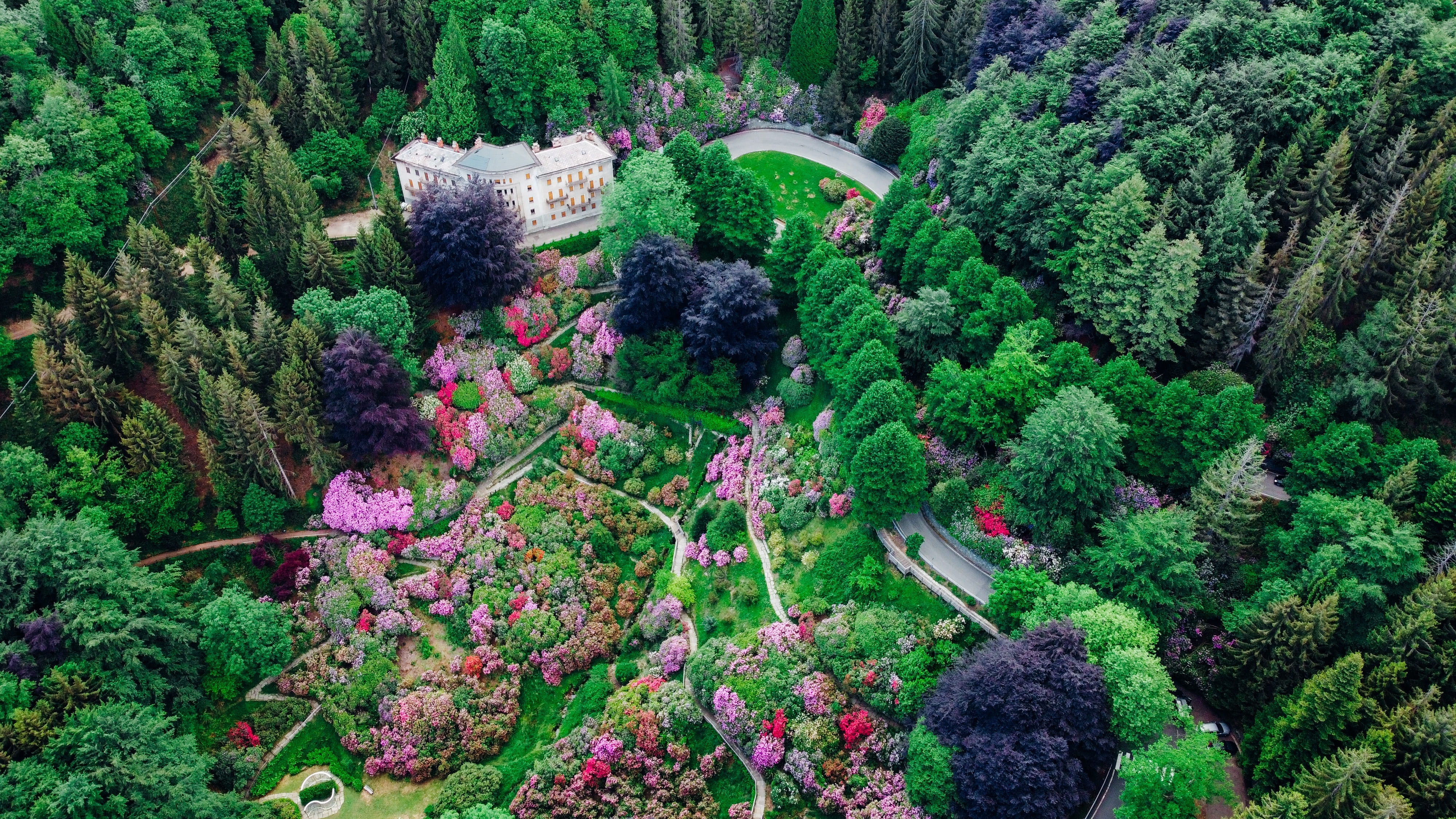 Oasi Zegna: un paradiso verde nelle Alpi Biellesi