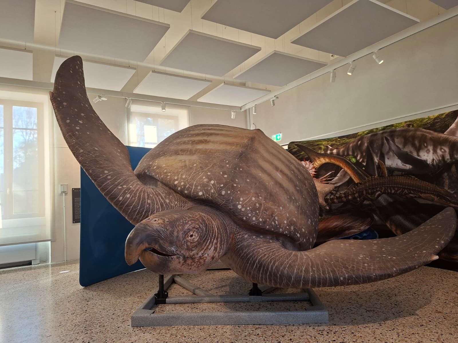 Oceani Perduti: giganti marini al tempo dei dinosauri — mostra al Kosmos di Pavia