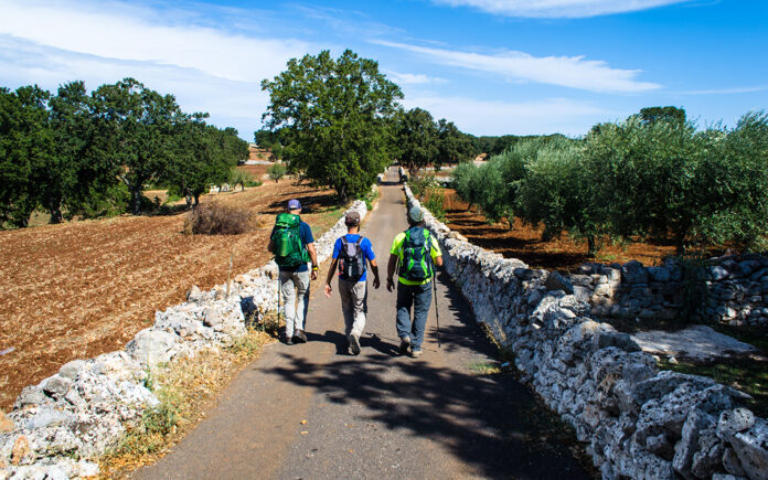 Oleoturismo, l'Italia accelera: dall'azienda al territorio il turismo