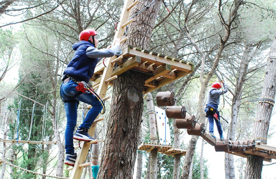 Parcallario: il Parco Avventura nel verde siciliano