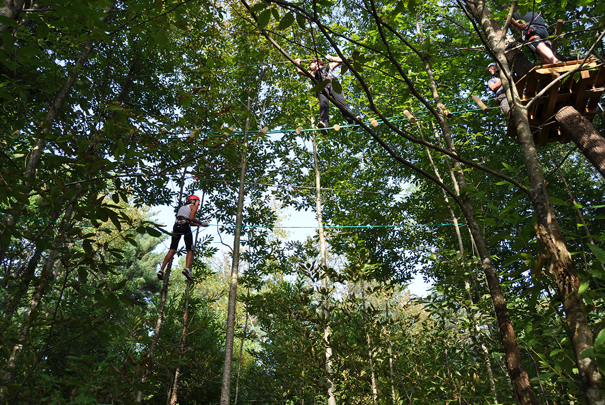 Parco Avventura Adrenalina Verde – la natura da vivere