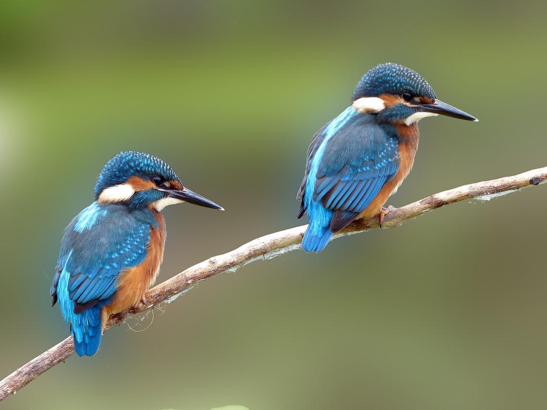 Parco Fluviale del Tevere: dove il fiume della Capitale arriva in Umbria