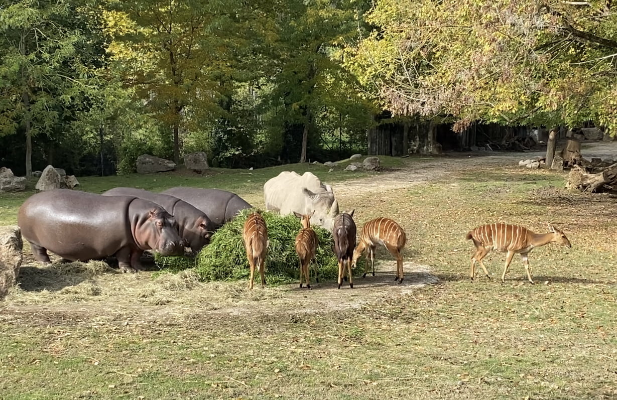 Parco Natura Viva – educazione, avventura e svago