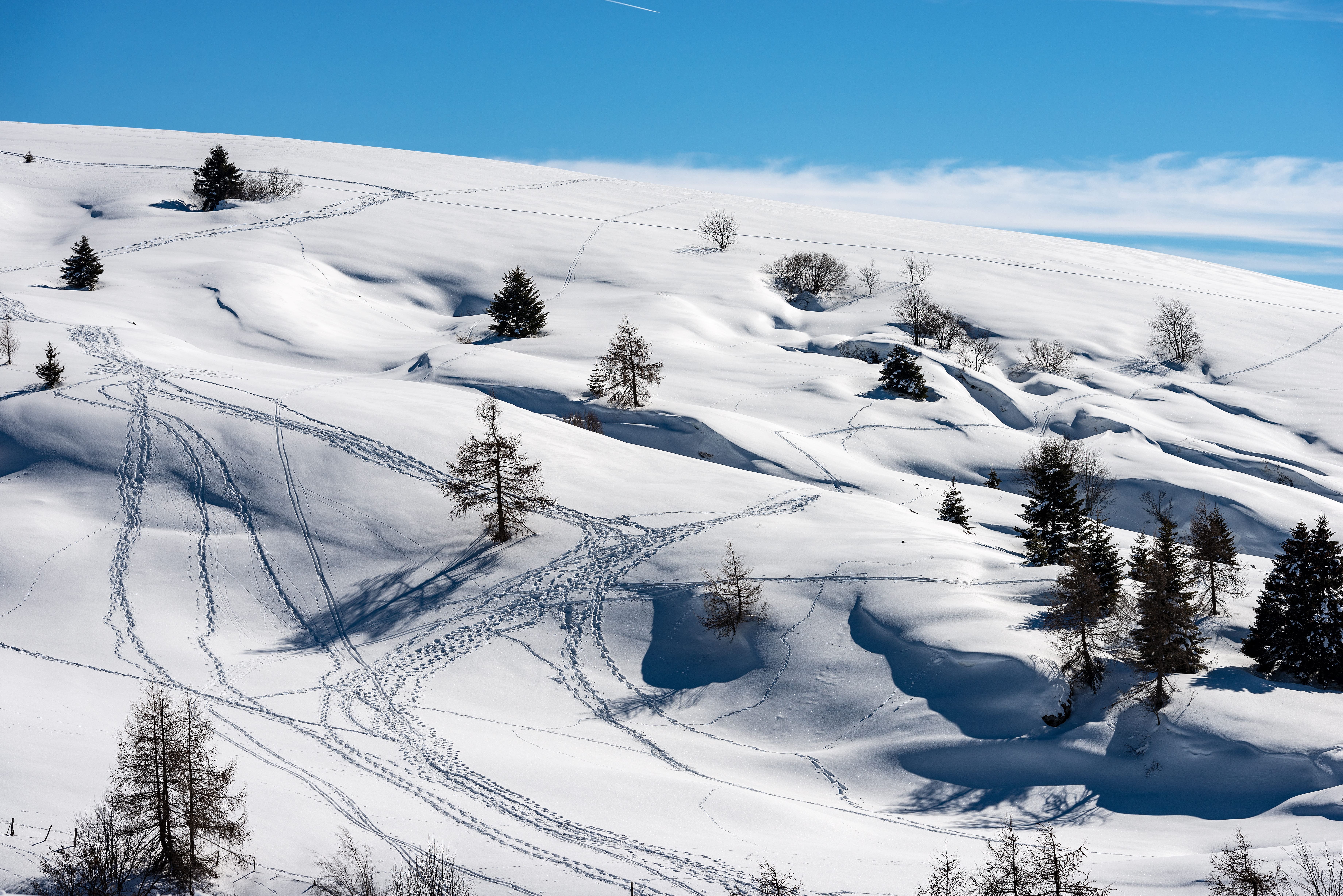 Parco Naturale Regionale della Lessinia: natura, fossili e panorami d’altri tempi