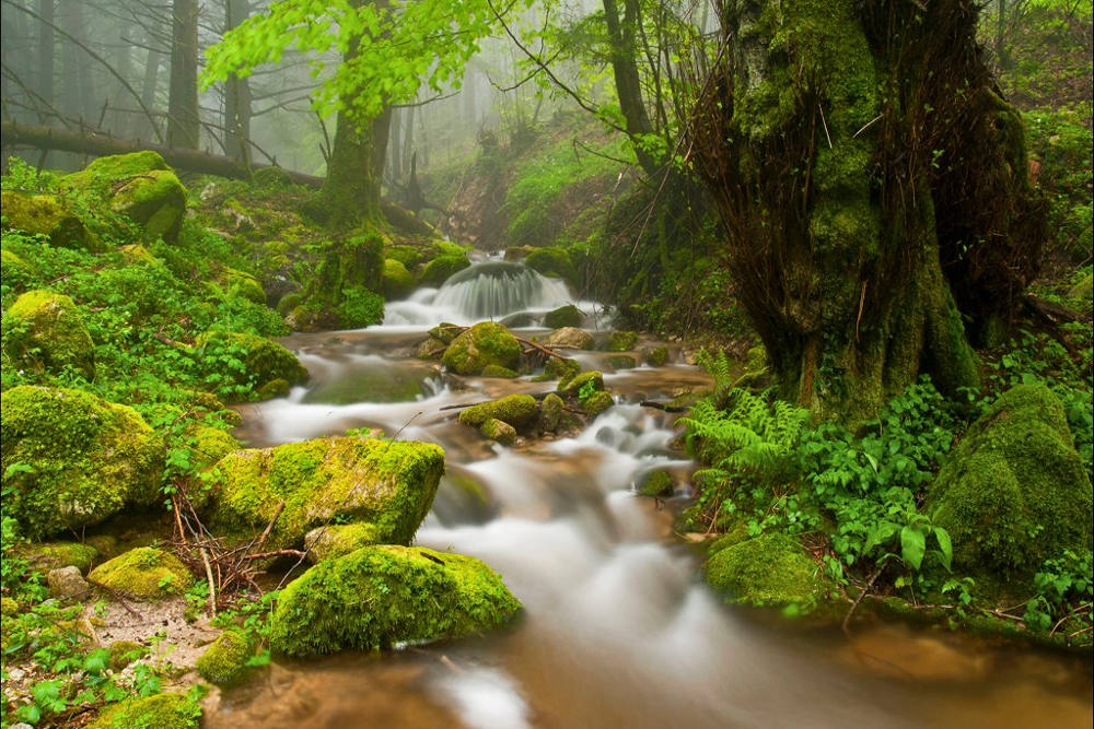 Parco Naturale Regionale delle Serre: tra montagne, boschi e cascate