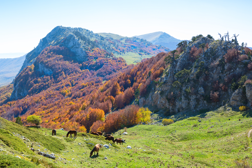 Parco Nazionale del Pollino: il gigante d’Italia dove la Basilicata tocca il cielo